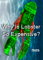If you like lobster, you�ll gladly pay the price.